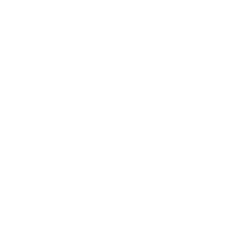Vision Icon white
